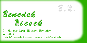 benedek micsek business card